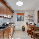 Big 2-bedroom In Tenerife South * Arona (Tenerife)